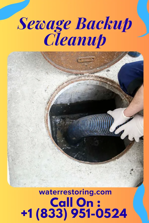 Sewage Backup Cleanup in Warwick, RI