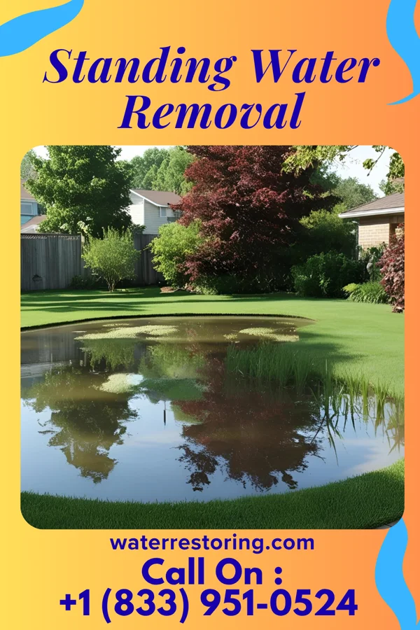 Standing Water Removal in Warwick, RI